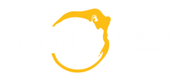 Intus Escola